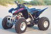 Semi-Automatic 250cc quad - sport atv - paddles included